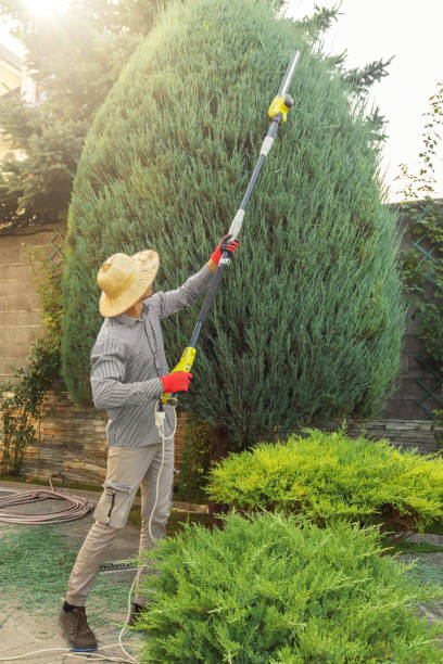 Best Pest Control for Lawns  in Lake Holiday, IN